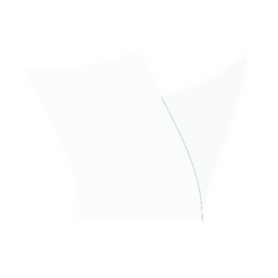 cash icon
