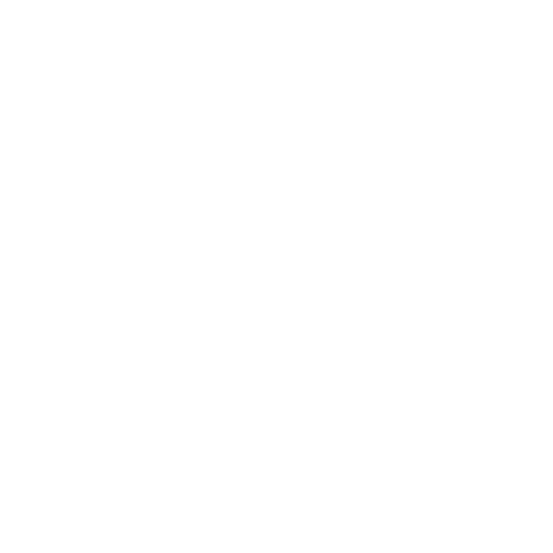 pet behavior consultations icon