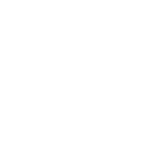 pet examination icon