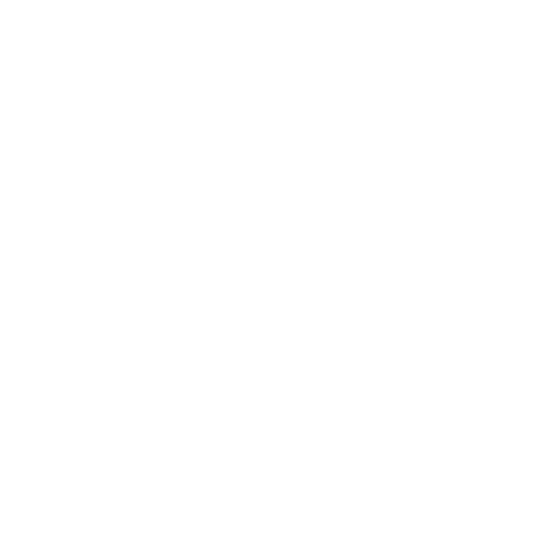 pet geriatric care icon
