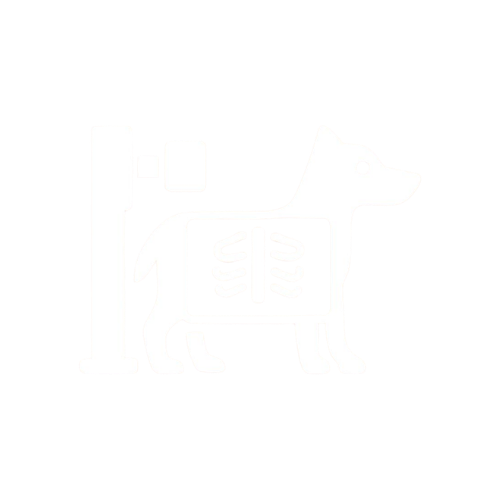 pet radiology icon