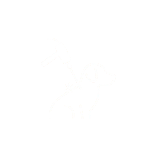 pet laser icon